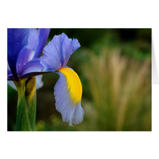 Hett Hälsningskort (Framsidan Horizontal)