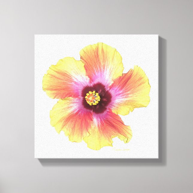 Hett Hibiscus Canvastryck (Framsida)