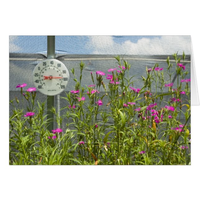 Hett House Nursery Card Hälsningskort (Framsidan Horizontal)