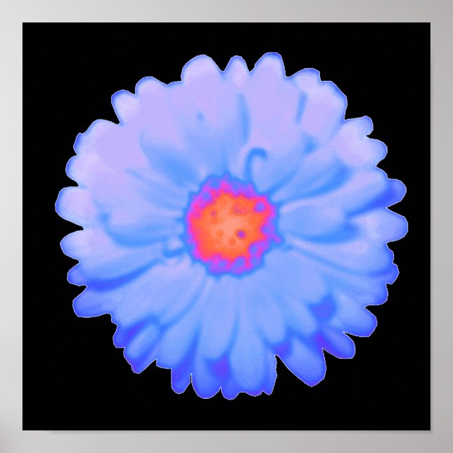 Hett och Kall Marigold Poster (Framsidan)