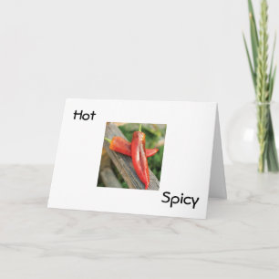 HETT OCH SPICIK CINCO DE MAYO ÖNSKEMÅL KORT