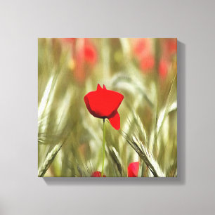 Hett Poppy Acrylic Painting Canvastryck