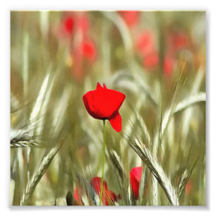 Hett Poppy Acrylic Painting Fototryck