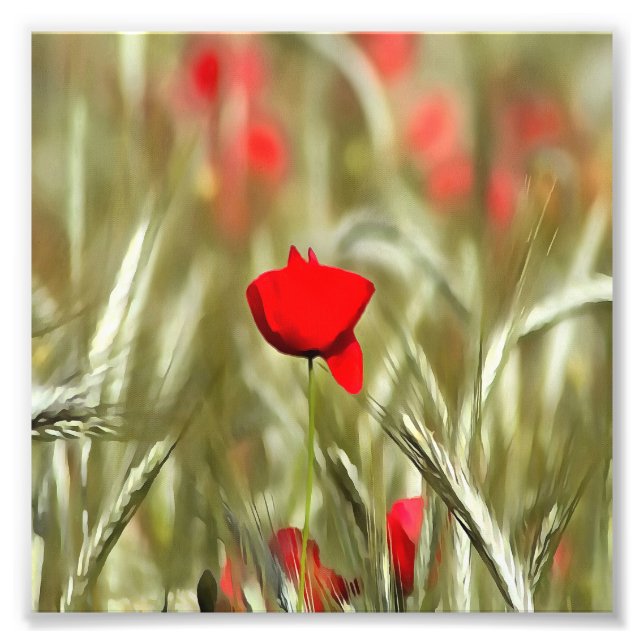 Hett Poppy Acrylic Painting Fototryck (Framsidan)