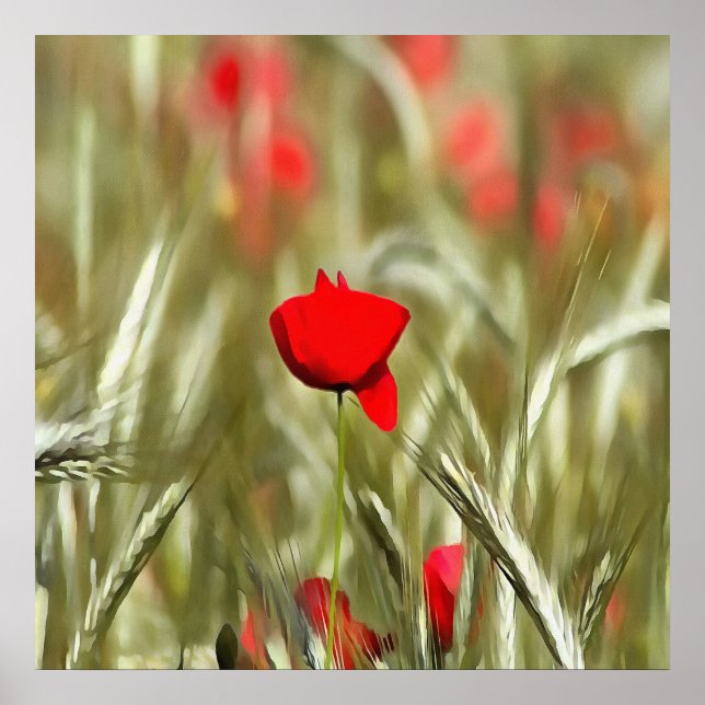 Hett Poppy Acrylic Painting Poster (Framsidan)