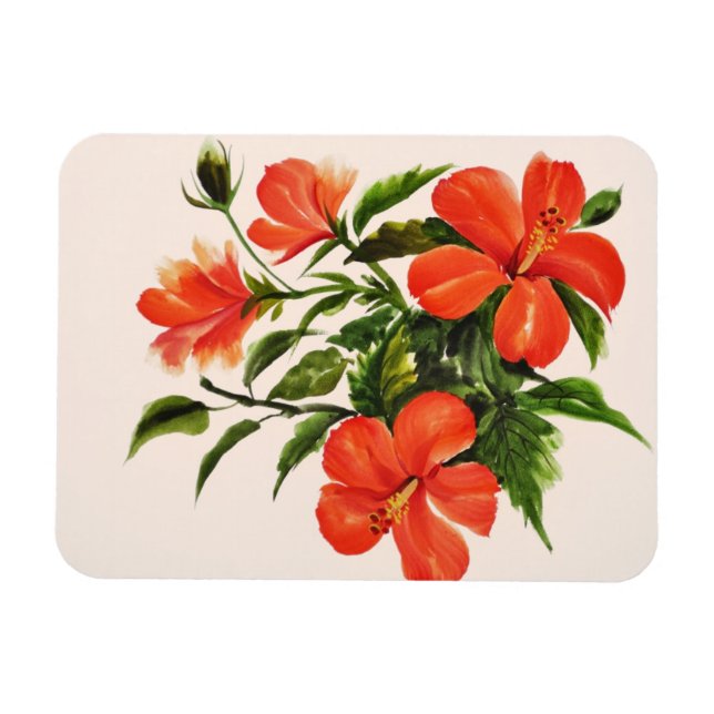 Hett Red Hibiscus Magnet (Horisontell)