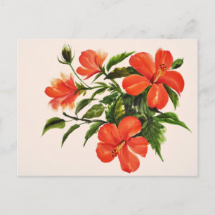 Hett Red Hibiscus Vykort