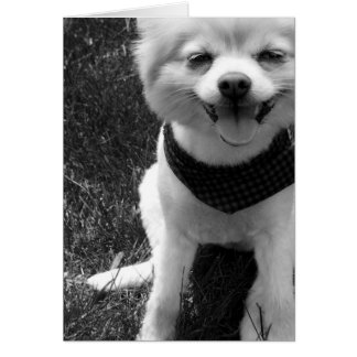 Hett sommartid hälsningskort