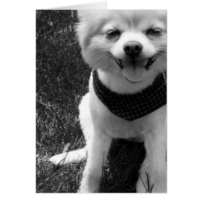 Hett sommartid hälsningskort (Framsidan)