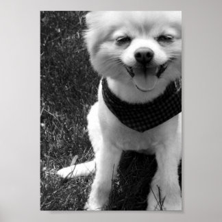 Hett sommartid poster