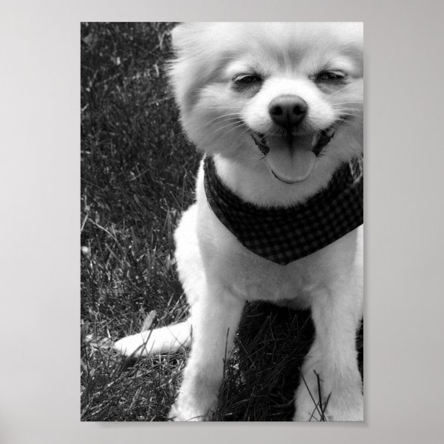 Hett sommartid poster (Framsidan)