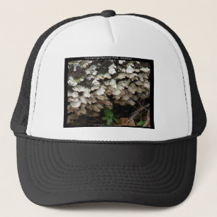 Hett Spings nationalpark, Arkansas Träd Fungus Keps