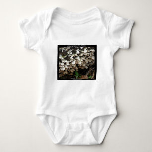 Hett Spings nationalpark, Arkansas Träd Fungus Tee
