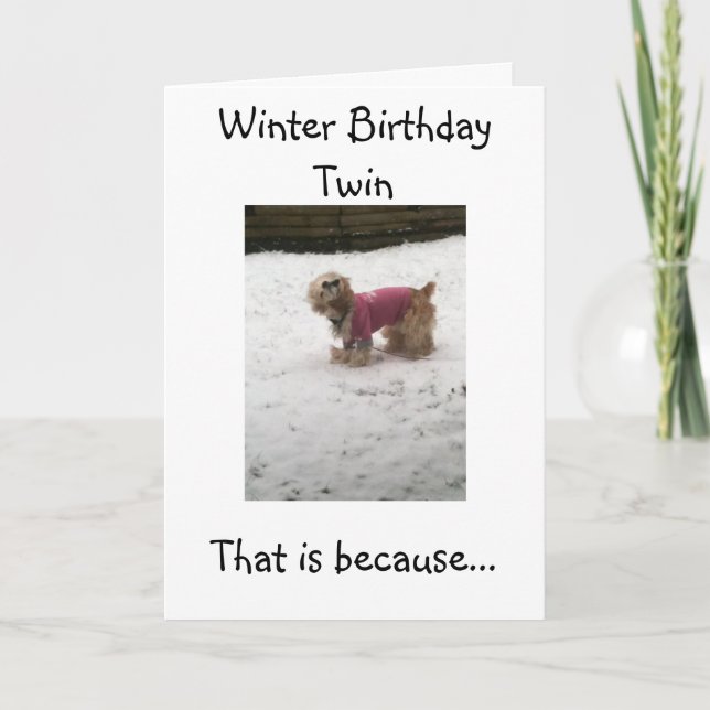 HETT TWILLINGARS HUMOR=VINTER BIRTHDAY GREETINGS KORT (Framsida)