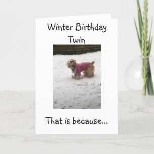 HETT TWILLINGARS HUMOR=VINTER BIRTHDAY GREETINGS KORT