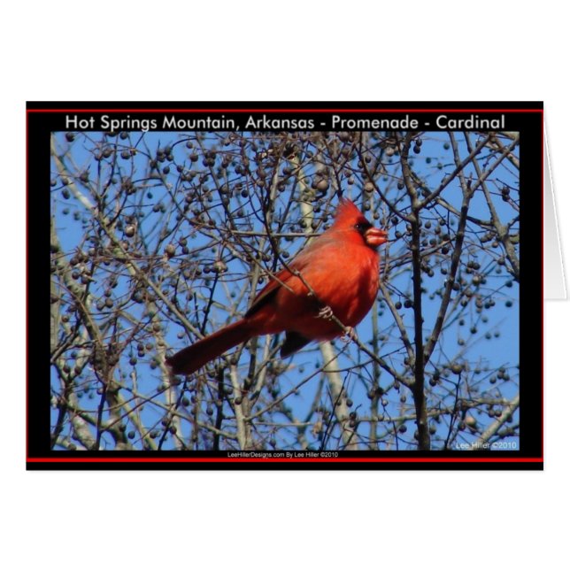 Hett Vår bergsstrandpromenader Kardinalgåvor Hälsningskort (Framsidan Horizontal)
