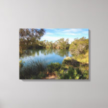 Hett vår i kanvastrycket i öknen