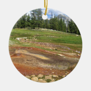 Hett Vår i Tuolumne Meadows, Yosemite, CA Julgransprydnad Keramik