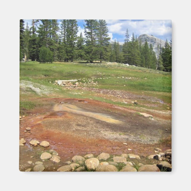 Hett Vår i Tuolumne Meadows, Yosemite, CA Magnet (Framsidan)