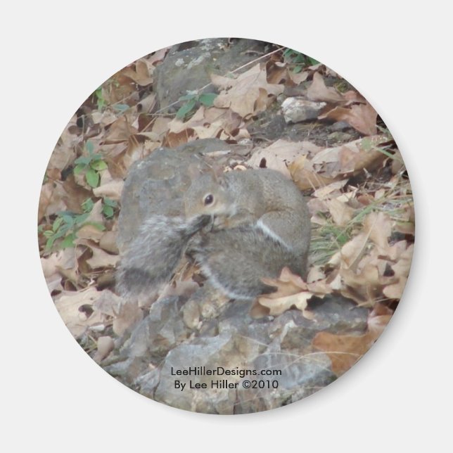Hett Vår Mountain, AR Squirrel Camouflage Gifts Magnet (Framsidan)