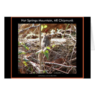 Hett Vår Mountain, Arkansas Chipmunk Gifts Hälsningskort