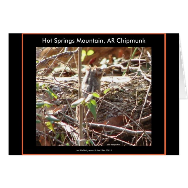 Hett Vår Mountain, Arkansas Chipmunk Gifts Hälsningskort (Framsidan Horizontal)