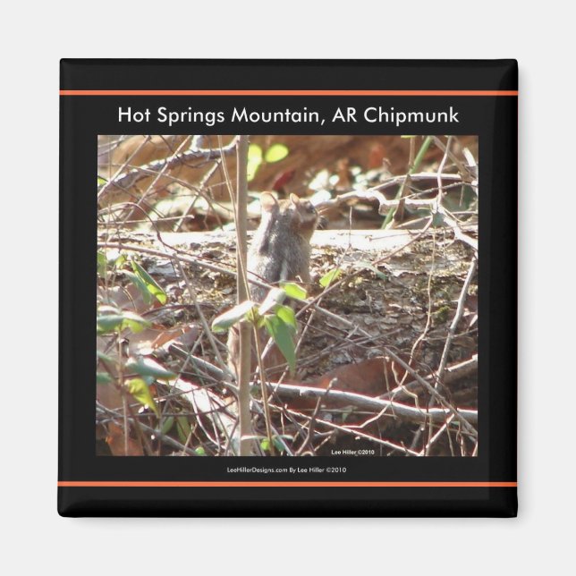 Hett Vår Mountain, Arkansas Chipmunk Gifts Magnet (Framsidan)