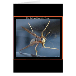 Hett Vår Mountain Wasp Gift & Aparel Hälsningskort