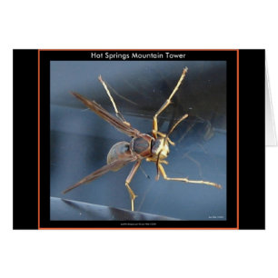 Hett Vår Mountain Wasp Gift & Aparel Hälsningskort