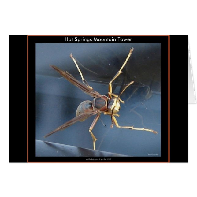 Hett Vår Mountain Wasp Gift & Aparel Hälsningskort (Framsidan Horizontal)