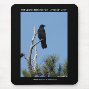Hett Vår nationalpark, AR - Amerikanska Kråkan Musmatta