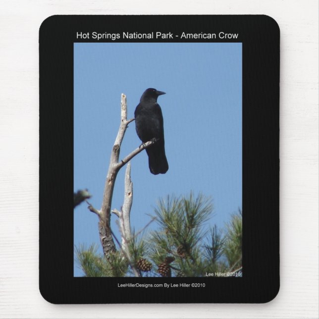 Hett Vår nationalpark, AR - Amerikanska Kråkan Musmatta (Framsidan)