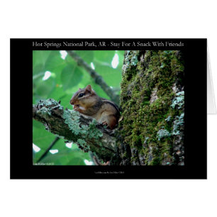 Hett Vår nationalpark, AR Chipmunk Snack Gifts Hälsningskort