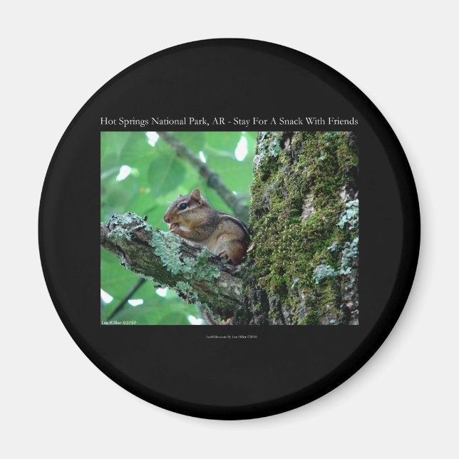 Hett Vår nationalpark, AR Chipmunk Snack Gifts Magnet (Framsidan)