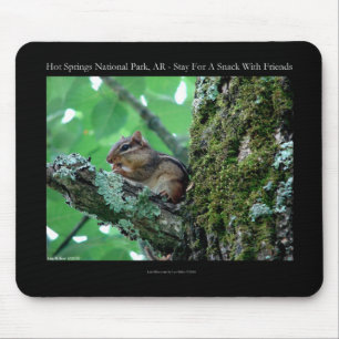 Hett Vår nationalpark, AR Chipmunk Snack Gifts Musmatta