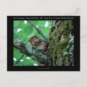 Hett Vår nationalpark, AR Chipmunk Snack Gifts Vykort