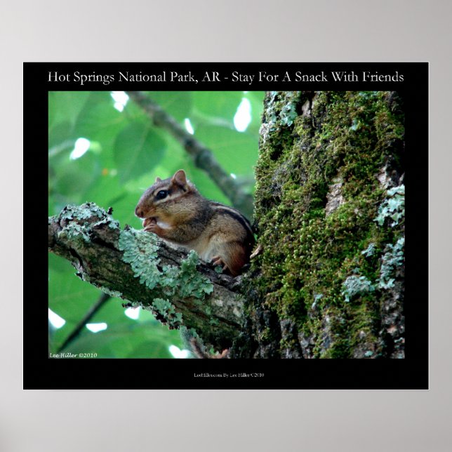 Hett Vår nationalpark, AR Chipmunk Snack Poster (Framsidan)