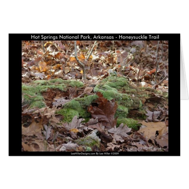 Hett Vår nationalpark, AR - Honeysuckle Trail Hälsningskort (Framsidan Horizontal)