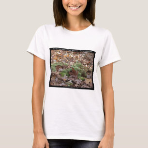 Hett Vår nationalpark, AR - Honeysuckle Trail Tee