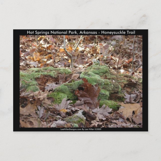 Hett Vår nationalpark, AR - Honeysuckle Trail Vykort (Framsida)