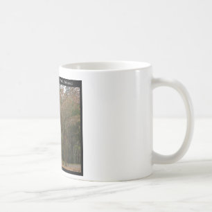 Hett Vår nationalpark, AR ovanför strandpromenaden Kaffemugg