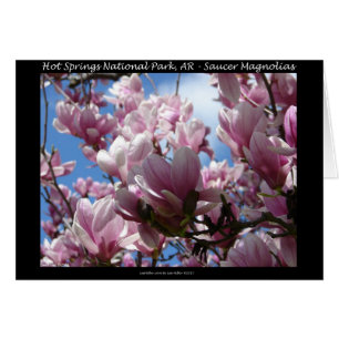 Hett Vår nationalpark AR Saucer Magnoia Gifts Hälsningskort