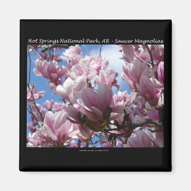 Hett Vår nationalpark AR Saucer Magnoia Gifts Magnet (Framsidan)