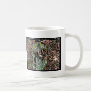 Hett Vår nationalpark, AR Upper Dogwood Loop Kaffemugg