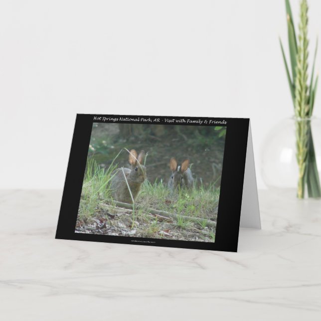 Hett Vår nationalpark, AR Vild Rabbits Gifts Helgkort (Framsida)