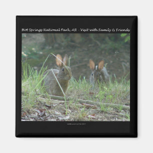 Hett Vår nationalpark, AR Vild Rabbits Gifts Magnet