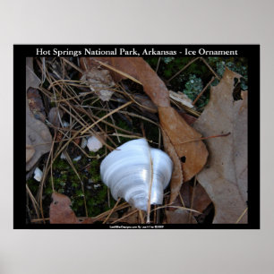 Hett Vår nationalpark, Arkansas - isprydnad Poster
