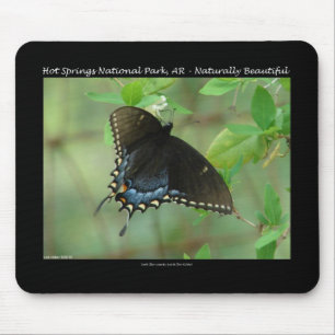 Hett Vår nationalpark Swallowtail Butterfly Musmatta