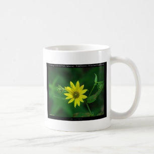 Hett Vår nationalparkens solrosgåvor för skogsbruk Kaffemugg