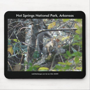 Hett Vår Nat'l Park Mt, AR Peak Trail Musmatta